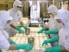 加工施設の紹介～チーズの製造工程のご紹介