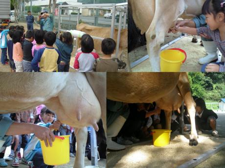 今回は真庭市の米来小学校と津田小学校・旦土保育園に行ってミルク！